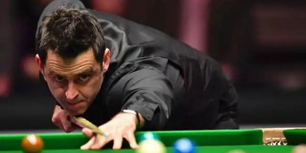 参考案例 参考案例