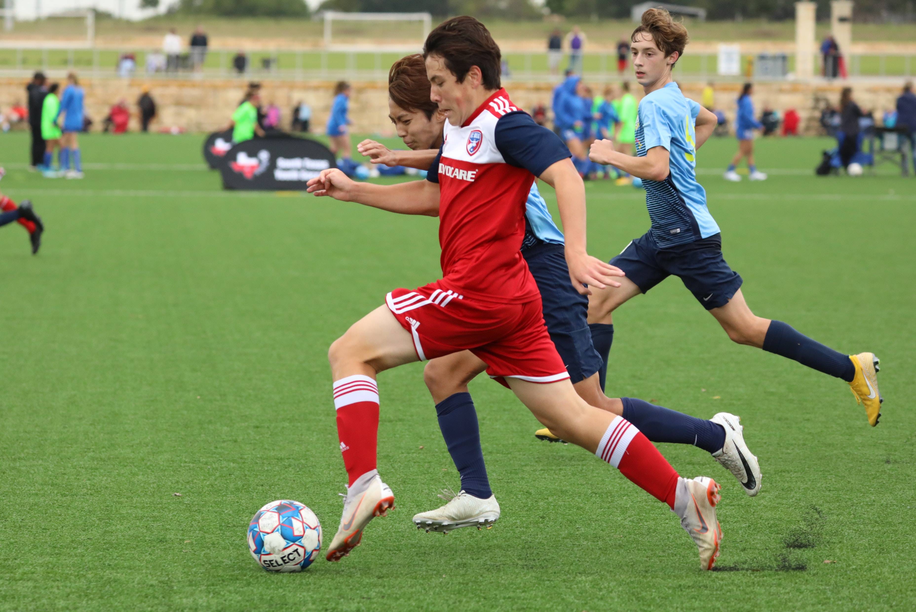 都有明显的 都有明显的